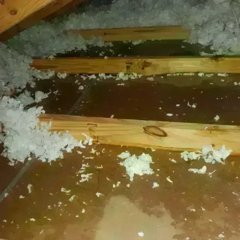 Attic Water Damage in Rockwell, IA