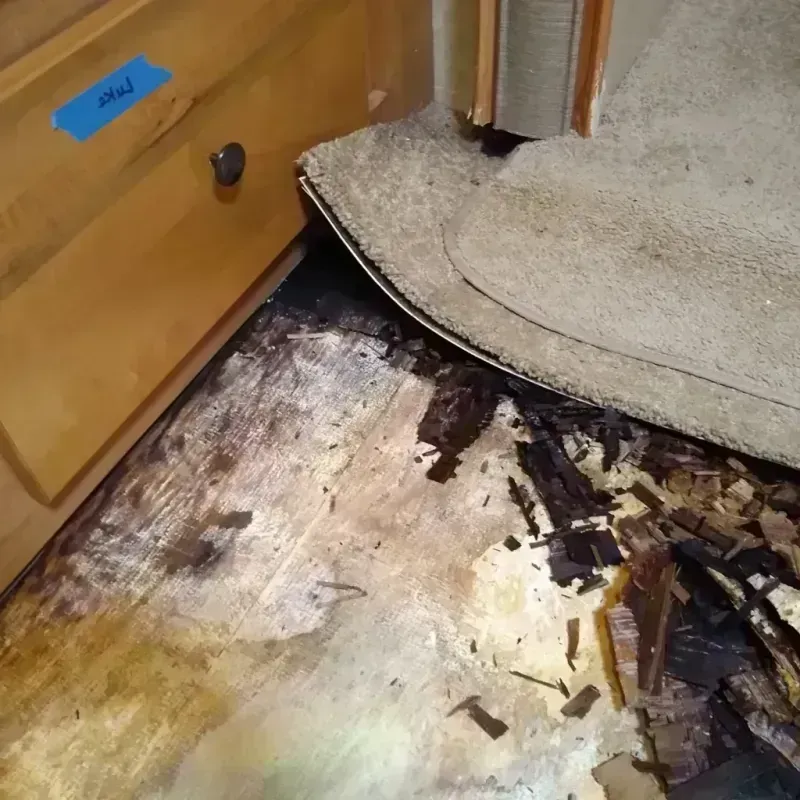 Wood Floor Water Damage in Rockwell, IA